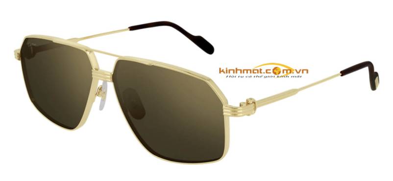 Kính mát Cartier CT0270S 002 Kính mát Cartier CT0270S 002
