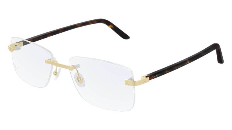 Gọng kính Cartier CT0216OA 003 Gọng kính Cartier CT0216OA 003
