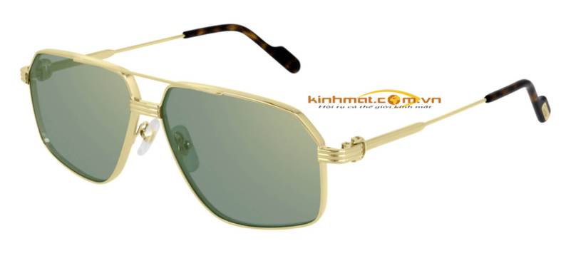 Kính mát Cartier CT0270S 008 Kính mát Cartier CT0270S 008