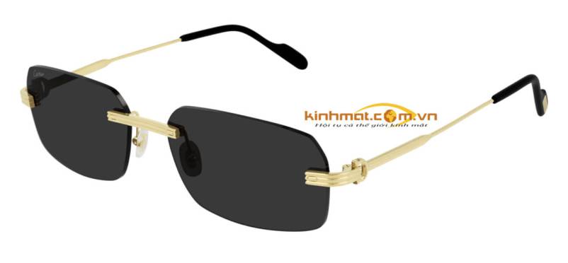 Kính mát Cartier CT0271S 001 Kính mát Cartier CT0271S 001