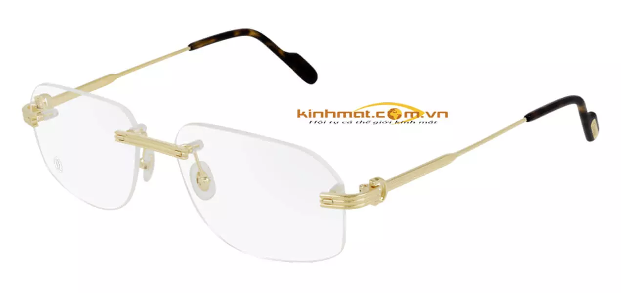 Gọng kính Cartier CT0284O 002
