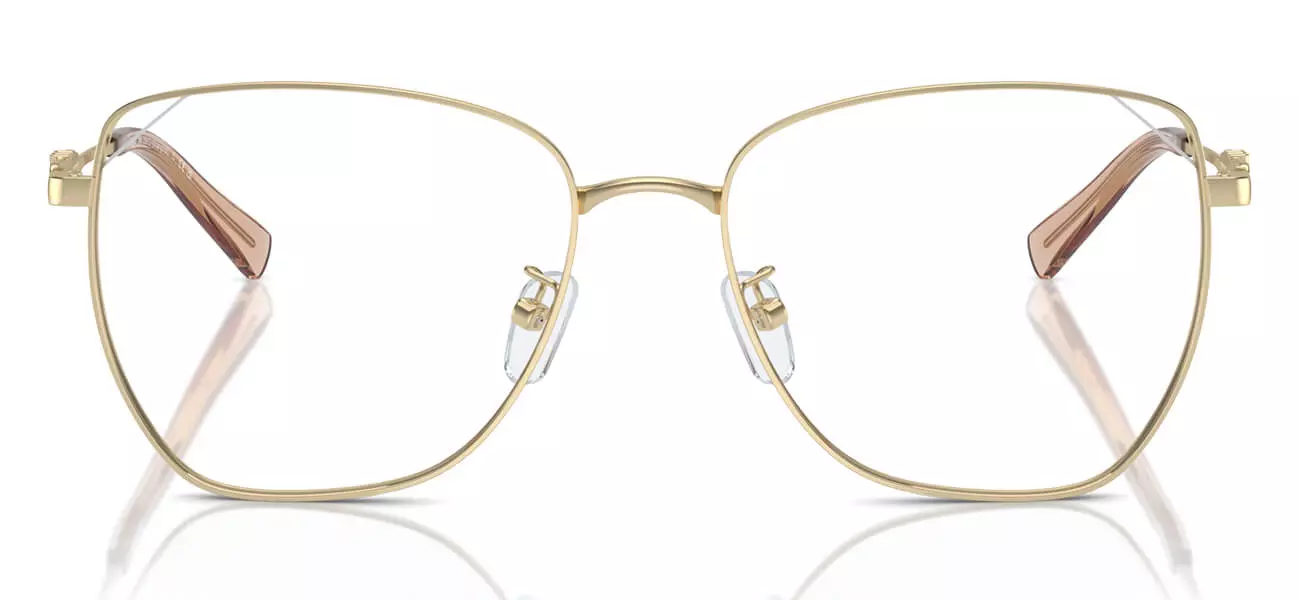 Gọng kính MICHAEL KORS 3081D 1014