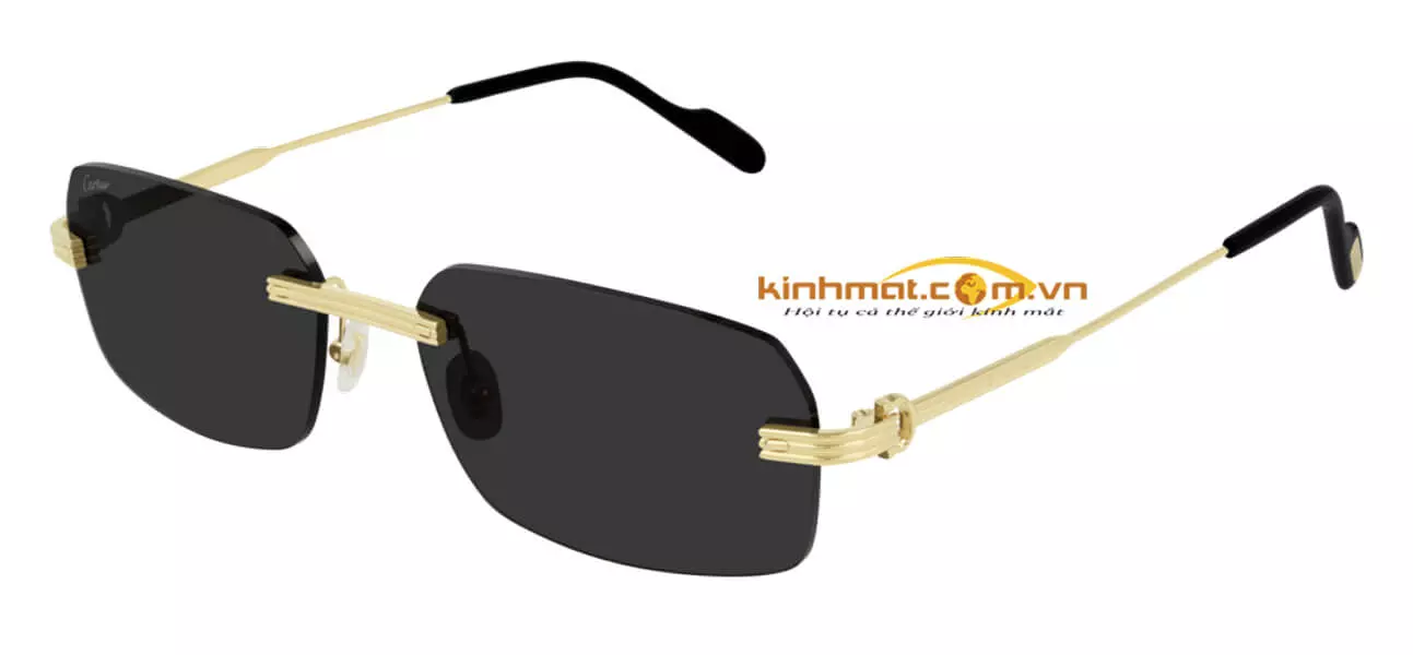 Kính mát Cartier CT0271S 001