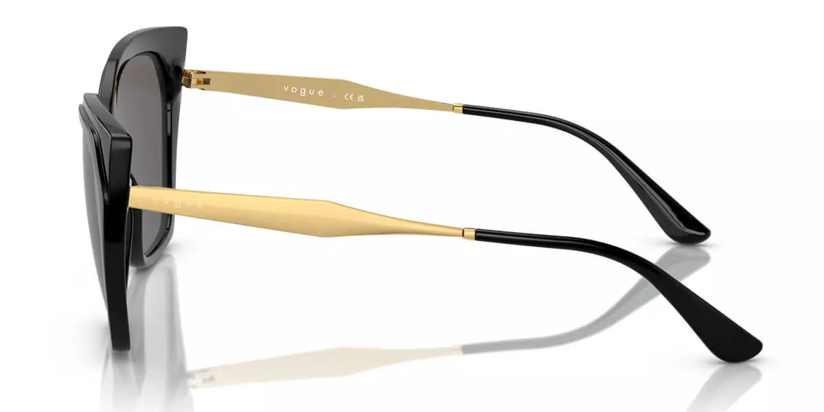 Kính mát VOGUE 5521S W44/87