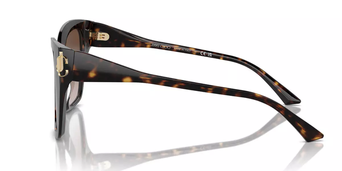 Kính mát JIMMY CHOO 5012F 500213