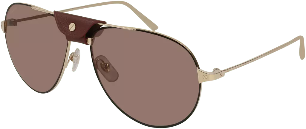 Kính mát Cartier santos