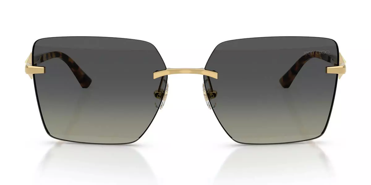 Kính mát JIMMY CHOO 4018 302311