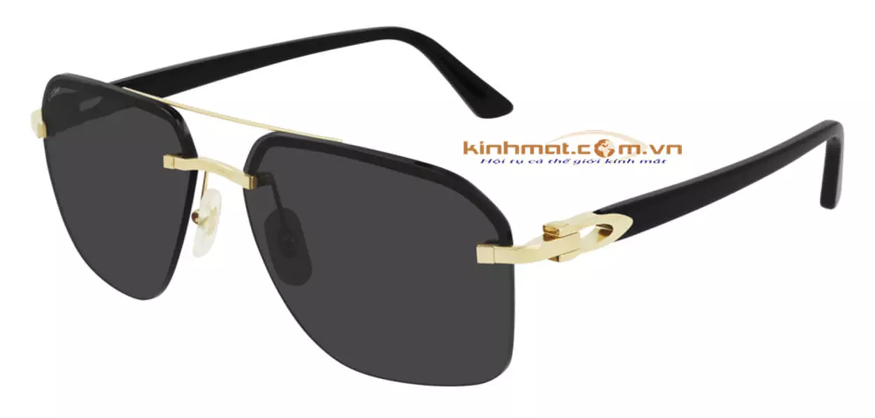 Kính mát Cartier CT0276S 001