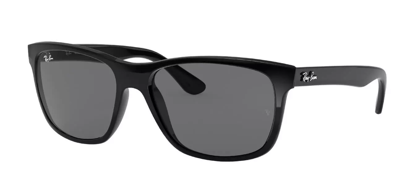Kính mát Ray-Ban RB4181 