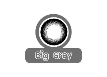 Áp tròng màu Maxim 3 tháng Big Gray