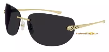 Kính mát Cartier CT0266S 001 đầu báo