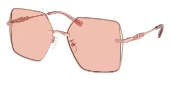 Kính mát MICHAEL KORS MK1157D 110884 58