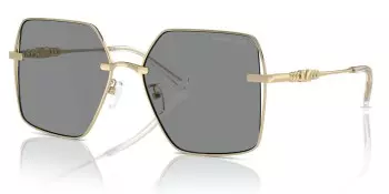 Kính mát MICHAEL KORS MK1157D 10143F 58