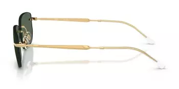 Kính mát RAY-BAN 3768 001/71 56