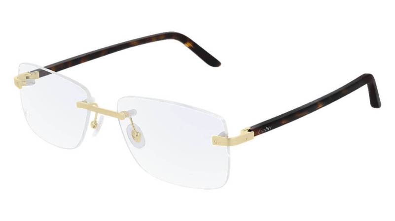 Gọng kính Cartier CT0216OA 003 Gọng kính Cartier CT0216OA 003