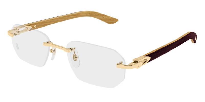 Gọng kính Cartier CT0049O 001 Gọng kính Cartier CT0049O 001