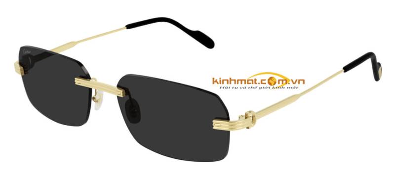 Kính mát Cartier CT0271S 001 Kính mát Cartier CT0271S 001