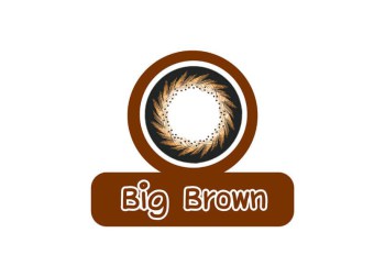 Áp tròng màu Maxim 3 tháng Big Brown