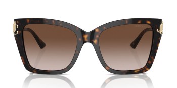 Kính mát JIMMY CHOO 5012F 500213 54