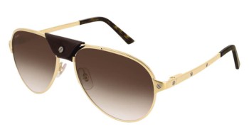 Kính mát Cartier CT0034S 011