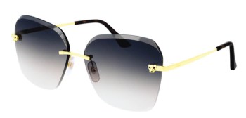 Kính mát Cartier CT0147S 002