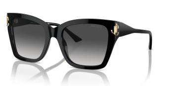 Kính mát JIMMY CHOO 5012F 50008G 54
