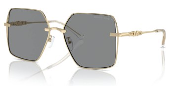 Kính mát MICHAEL KORS MK1157D 10143F 58