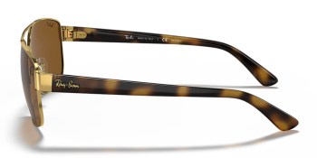 Kính mát RAY-BAN 3663 001/57 60
