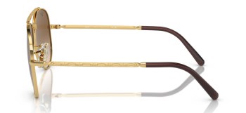 Kính mát RAY-BAN 3625 001/51