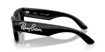 Kính mát RAY-BAN 4940B 686487 47