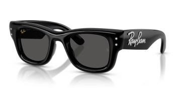 Kính mát RAY-BAN 4940B 686487 47
