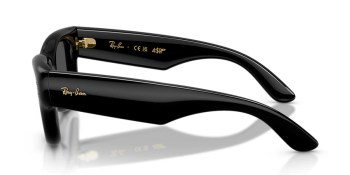 Kính mát RAY-BAN 4940 601/87 50